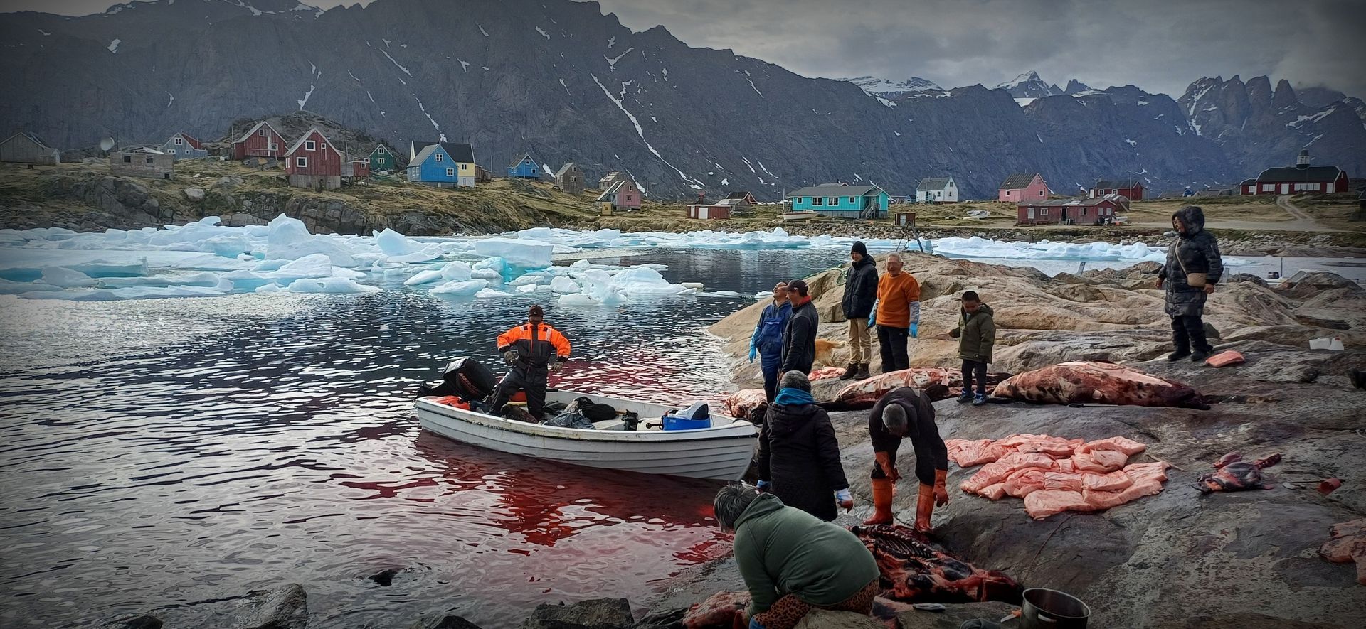 Save the Ocean, Jörn Kriebel, Save the Ocean, Faröer Inseln, Grind Wale Delfine, Delfine, Orca Wal, Beluga Wal, Blut, Abschaltungen, Mord, Dänemark, Waljagd, Kanada, Grönland, Eisbären, Waljagd Kanada, Waljagd Grönland, Orca, Orcas, Killerwale, Orca Jagt, Beluga Wale Jagt
