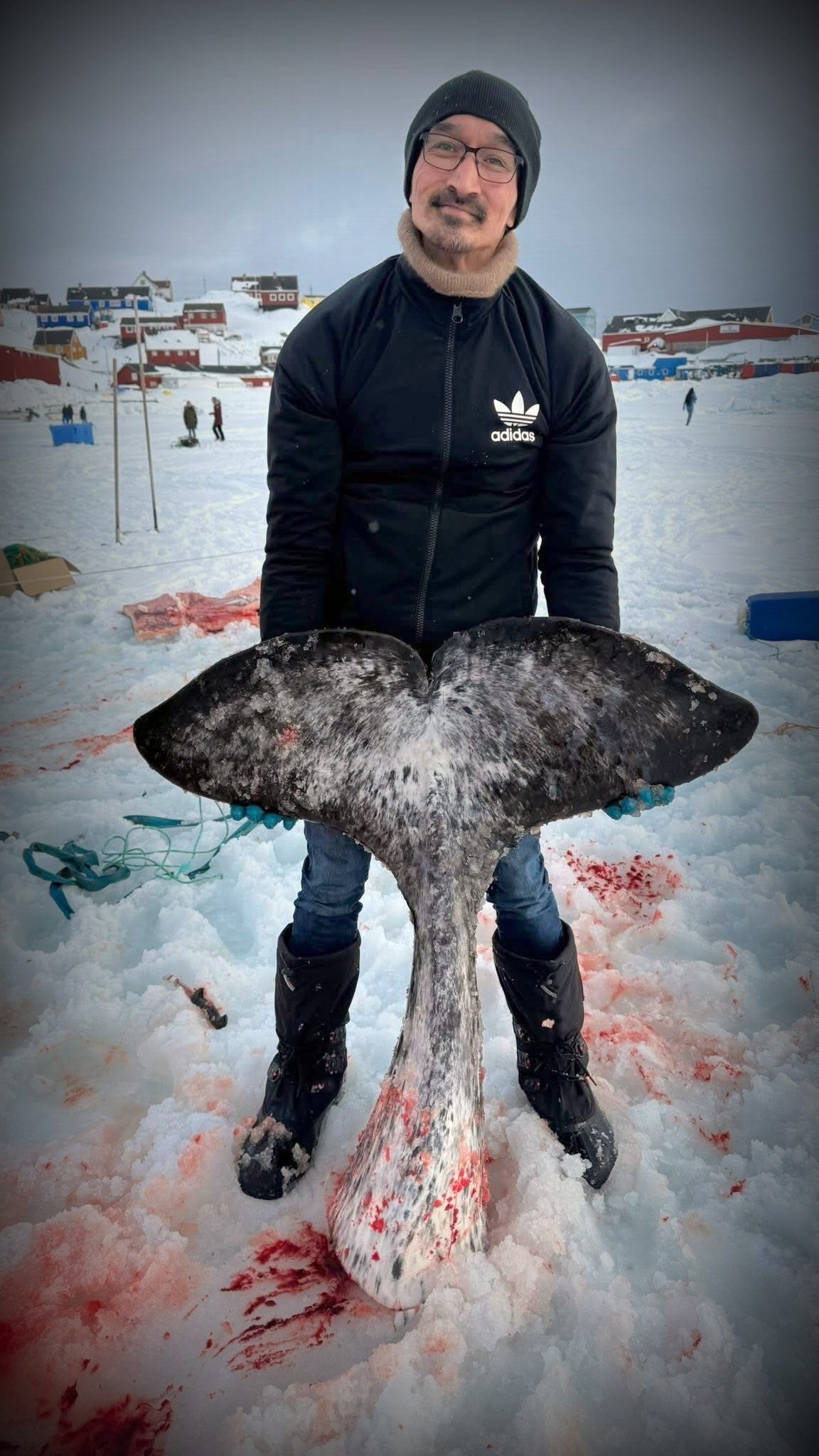 Save the Ocean, Jörn Kriebel, Save the Ocean, Faröer Inseln, Grind Wale Delfine, Delfine, Orca Wal, Beluga Wal, Blut, Abschaltungen, Mord, Dänemark, Waljagd, Kanada, Grönland, Eisbären, Waljagd Kanada, Waljagd Grönland, Orca, Orcas, Killerwale, Orca Jagt, Beluga Wale Jagtve