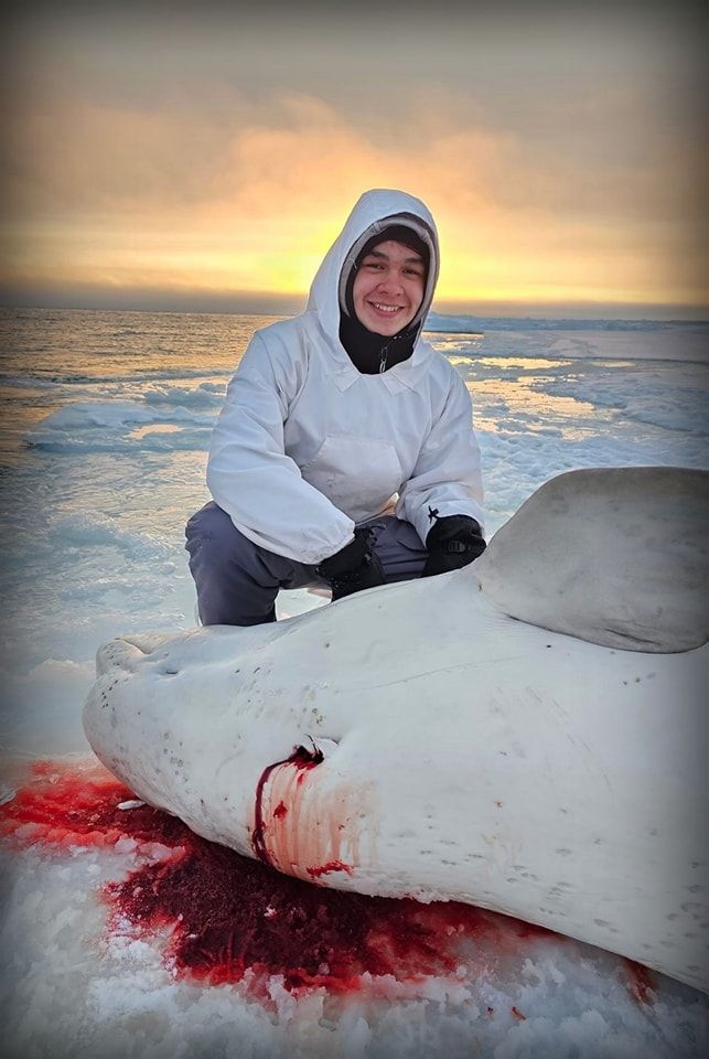 Save the Ocean, Jörn Kriebel, Save the Ocean, Faröer Inseln, Grind Wale Delfine, Delfine, Orca Wal, Beluga Wal, Blut, Abschaltungen, Mord, Dänemark, Waljagd, Kanada, Grönland, Eisbären, Waljagd Kanada, Waljagd Grönland, Orca, Orcas, Killerwale, Orca Jagt, Beluga Wale Jagtve