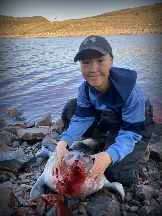 Save the Ocean, Jörn Kriebel, Save the Ocean, Faröer Inseln, Grind Wale Delfine, Delfine, Orca Wal, Beluga Wal, Blut, Abschaltungen, Mord, Dänemark, Waljagd, Kanada, Grönland, Eisbären, Waljagd Kanada, Waljagd Grönland, Orca, Orcas, Killerwale, Orca Jagt, Beluga Wale Jagtve