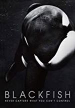 Save the Ocean, Jörn Kriebel, Tilikum, Orca Tilikum , Blackfish. SeaWorld, Sea World, SeaWorld Tilikum, Sea World TRilikum, Delfinarium, Lota Orca, Delfine, Gefangenschaft Orca, Die Bucht, The Crove,  Seaspiracy, Amazon, Netflix