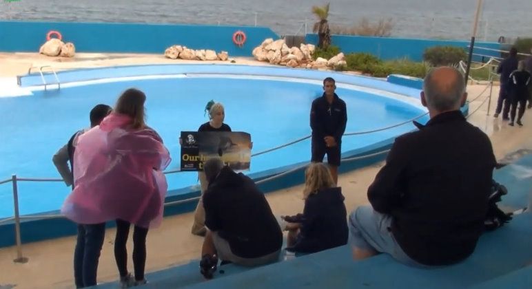 Save the Ocean, Jörn Kriebel, Delfinarium, Demo, Banner, Orca, Aktivisten,  Empty The Tanks, Wale Gefangenschaft,  Blackfish, Zoo, Tierschutz, Delfinarium Marine Park,