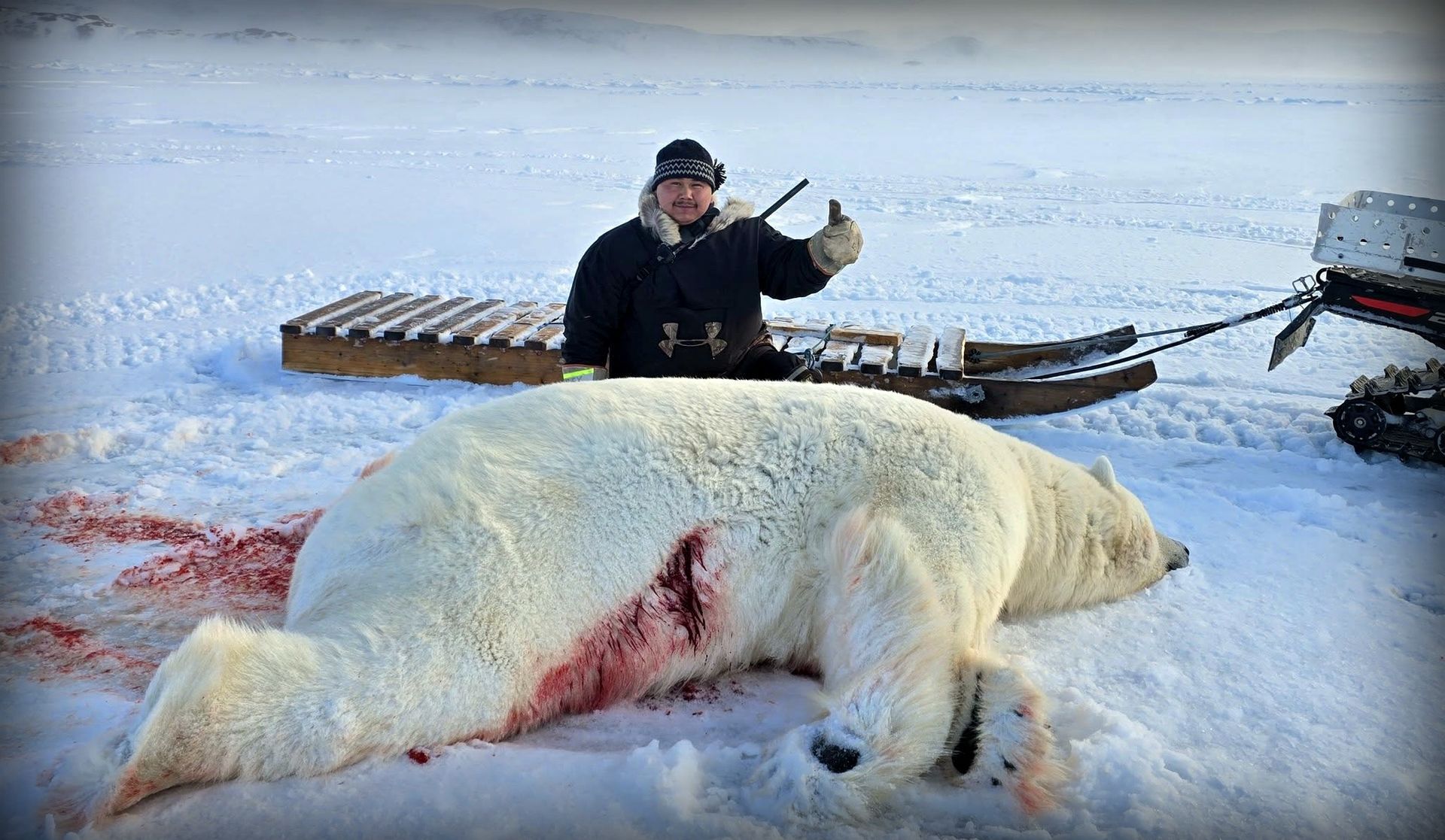 Save the Ocean, Jörn Kriebel, Save the Ocean, Faröer Inseln, Grind Wale Delfine, Delfine, Orca Wal, Beluga Wal, Blut, Abschaltungen, Mord, Dänemark, Waljagd, Kanada, Grönland, Eisbären, Waljagd Kanada, Waljagd Grönland, Orca, Orcas, Killerwale, Orca Jagt, Beluga Wale Jagt