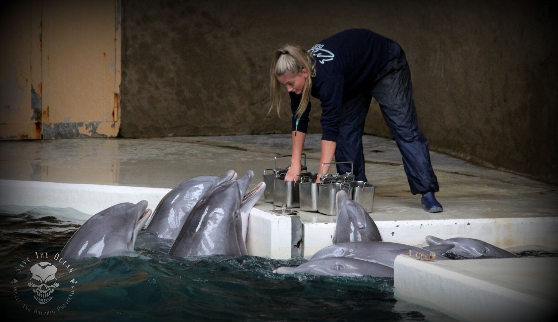 Save the Ocean, Jörn Kriebel, Delfinarium, Richard Ric O'Barry, Demo, Banner, Orca, Aktivisten,  Empty The Tanks,  Wale Gefangenschaft,  Blackfish, Zoo, Tierschutz, Duisburg Delfinarium, Ric O'Barry