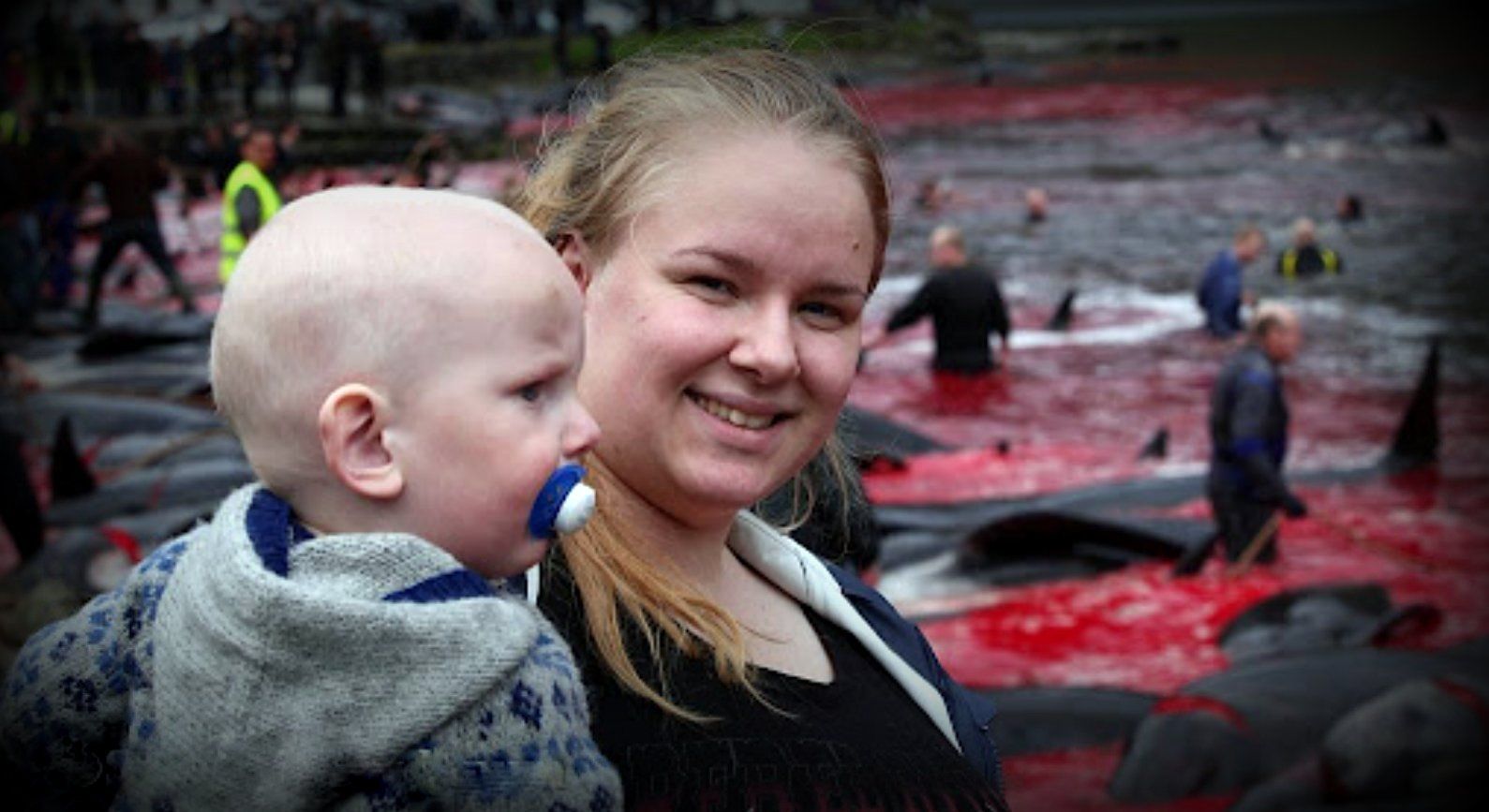 Save the Ocean, Jörn Kriebel, Save the Ocean, Färöer Inseln, Grind Wale Delfine, Delfine, Orca Wal, Beluga Wal, Blut, Abschaltungen, Mord, Dänemark