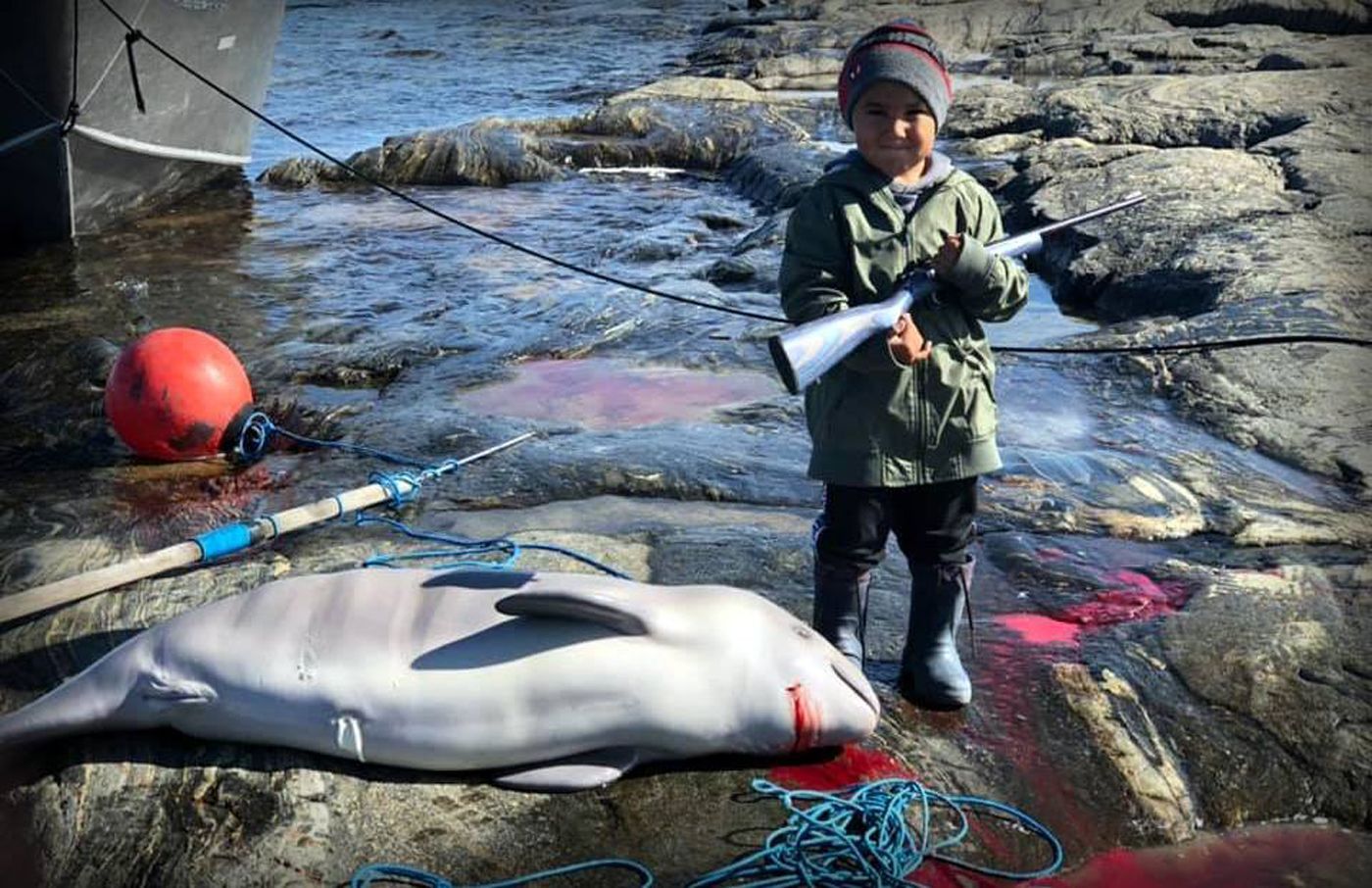 Save the Ocean, Jörn Kriebel, Save the Ocean, Faröer Inseln, Grind Wale Delfine, Delfine, Orca Wal, Beluga Wal, Blut, Abschaltungen, Mord, Dänemark, Waljagd, Kanada, Grönland, Eisbären, Waljagd Kanada, Waljagd Grönland, Orca, Orcas, Killerwale, Orca Jagt, Beluga Wale Jagt
