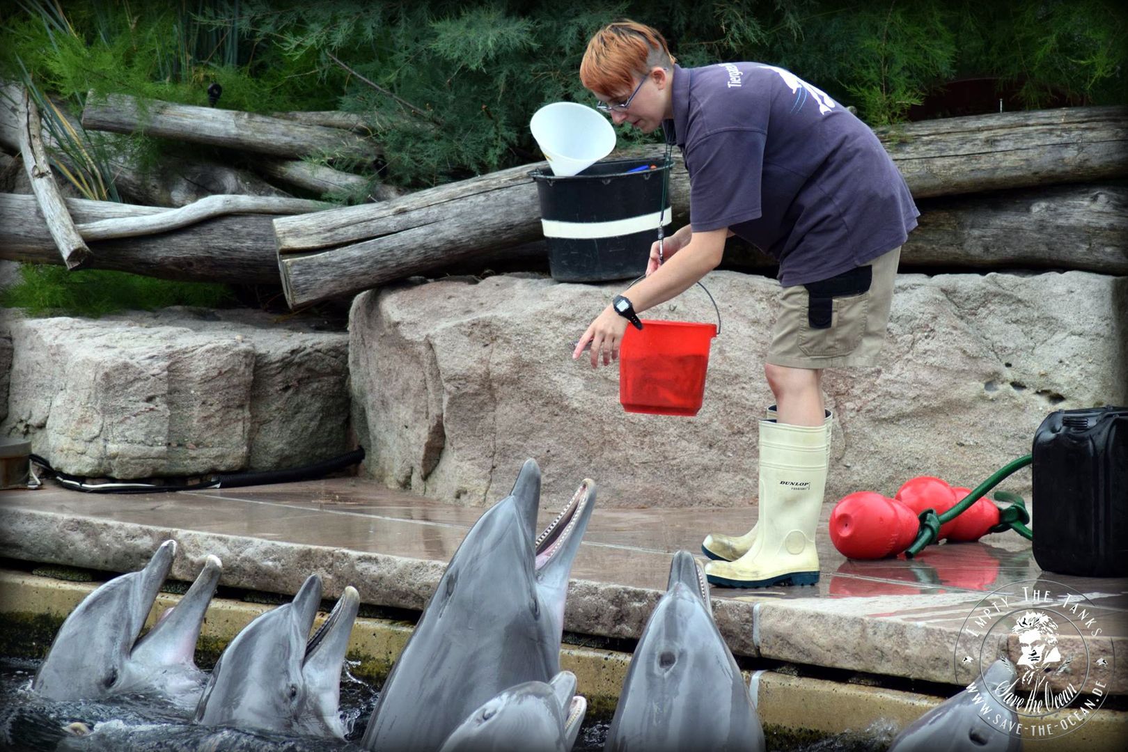Tiergarten Nürnberg Nürnberg, Save the Ocean, Jörn Kriebel, Wal, Orca, Beluga, Delfine, Delfinarium, Gefangenschaft, Wale Gefangenschaft, Empty The Tanks, Dolphin Project, Ric Obarry, Blackfish, Captivity Whales & Dolphins,