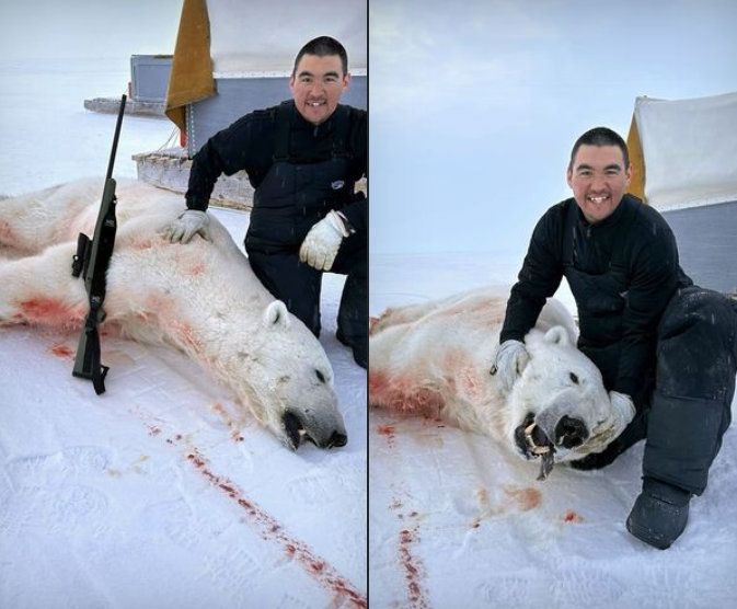 Save the Ocean, Jörn Kriebel, Save the Ocean, Faröer Inseln, Grind Wale Delfine, Delfine, Orca Wal, Beluga Wal, Blut, Abschaltungen, Mord, Dänemark, Waljagd, Kanada, Grönland, Eisbären, Waljagd Kanada, Waljagd Grönland, Orca, Orcas, Killerwale, Orca Jagt, Beluga Wale Jagt
