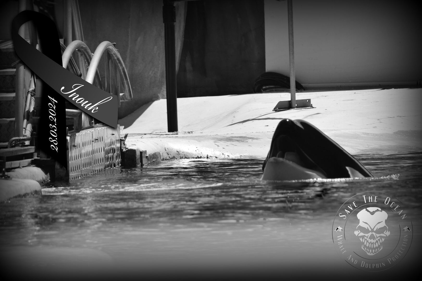 Jörn Kriebel, Save the Ocean, Delfinarium, Empty The Tanks, Dolphin Project, Ric Obarry, Blackfish, Captivity Whales & Dolphins, Frankreich Antibes, Marineland Frankreich, Orca Inouk - Marineland Antibes in Frankreich