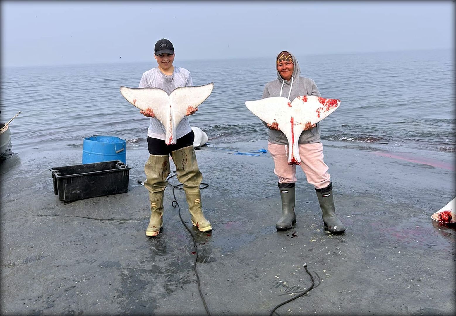 Save the Ocean, Jörn Kriebel, Save the Ocean, Faröer Inseln, Grind Wale Delfine, Delfine, Orca Wal, Beluga Wal, Blut, Abschaltungen, Mord, Dänemark, Waljagd, Kanada, Grönland, Eisbären, Waljagd Kanada, Waljagd Grönland, Orca, Orcas, Killerwale, Orca Jagt, Beluga Wale Jagt
