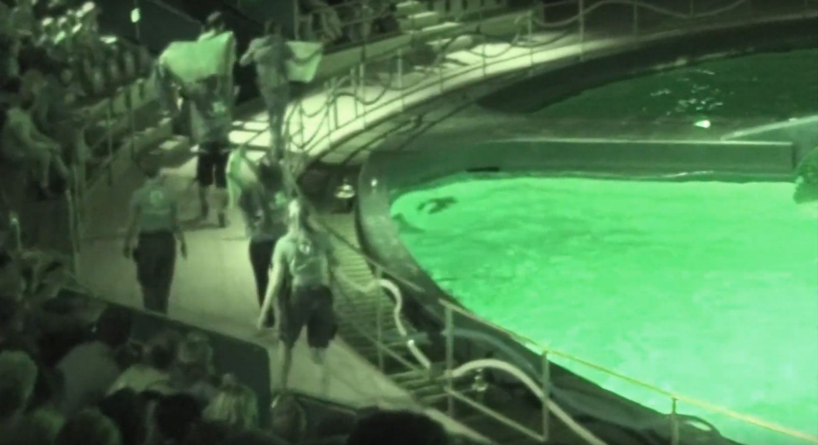 Save the Ocean, Jörn Kriebel, Delfinarium, Demo, Banner, Orca, Aktivisten,  Empty The Tanks, Wale Gefangenschaft,  Blackfish, Zoo, Tierschutz, Delfinarium Harderwijk,