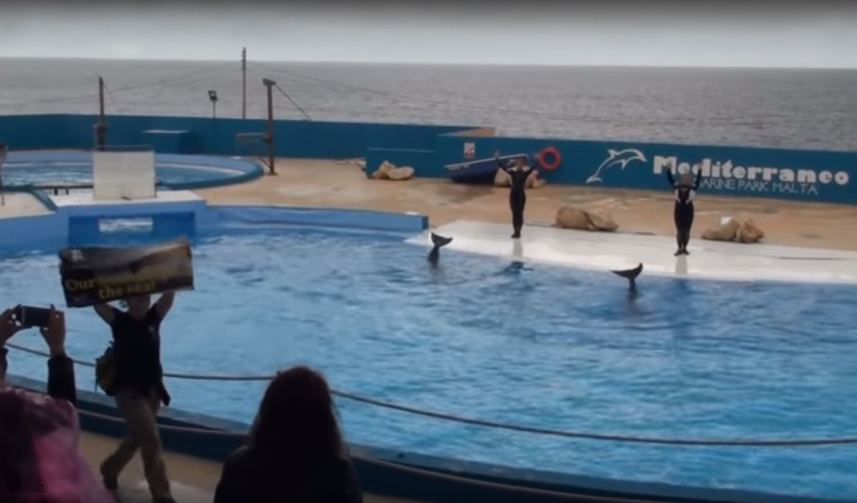 Save the Ocean, Jörn Kriebel, Delfinarium, Demo, Banner, Orca, Aktivisten,  Empty The Tanks, Wale Gefangenschaft,  Blackfish, Zoo, Tierschutz,  Delfinarium Marine Park,