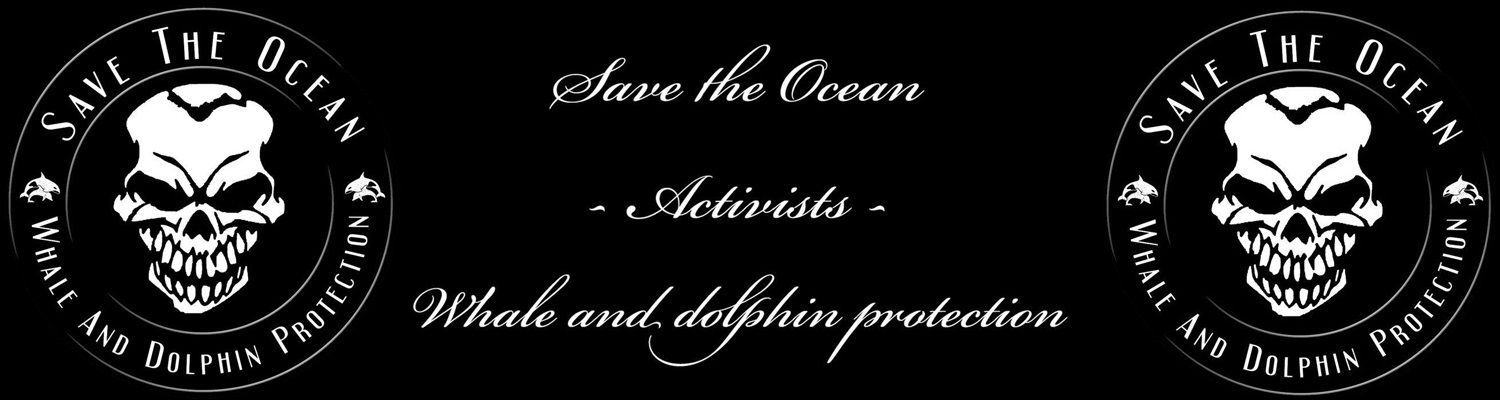 Save The Ocean, Jörn Kriebel, Delfine, Wale, Blakfish, Tilikum, Luna, Delfin Schutz,
