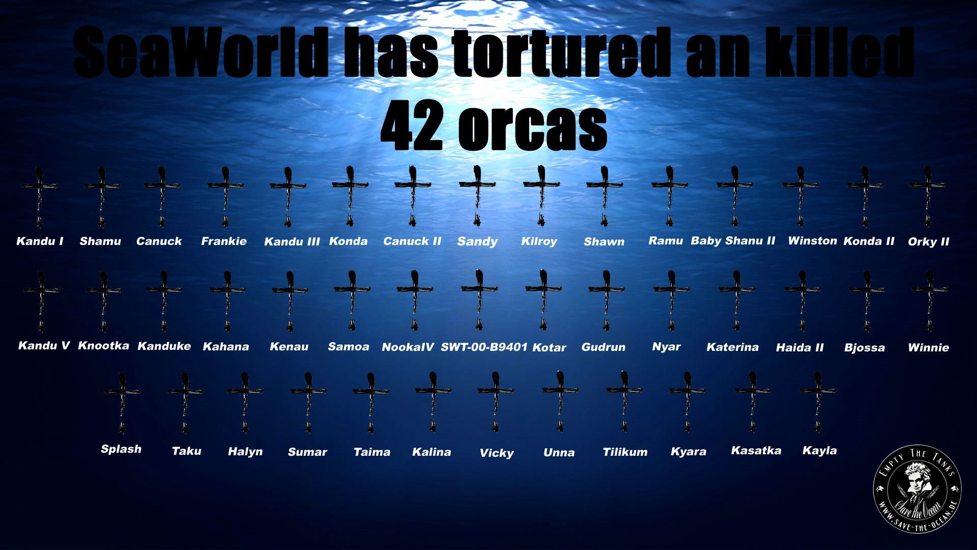SSave the Ocean, Jörn Kriebel, Wale, Orca, Beluga, Delfine, Delfinarium, Wale Gefangenschaft, Orca Gefangenschaft, Delfine Gefangenschaft, Empty The Tanks, Japan Taiji, Blackfish