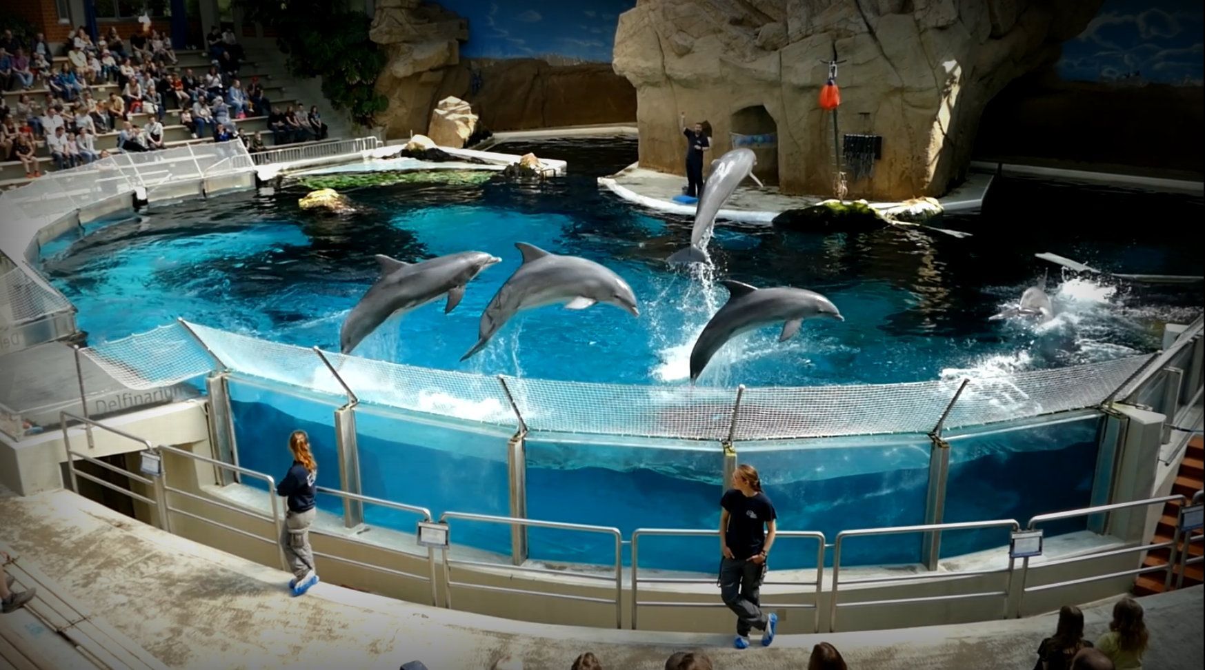 Save the Ocean, Jörn Kriebel, Delfinarium, Demo, Banner, Orca, Aktivisten,  Empty The Tanks,  Wale Gefangenschaft,  Blackfish, Zoo, Tierschutz, Duisburg Delfinarium,