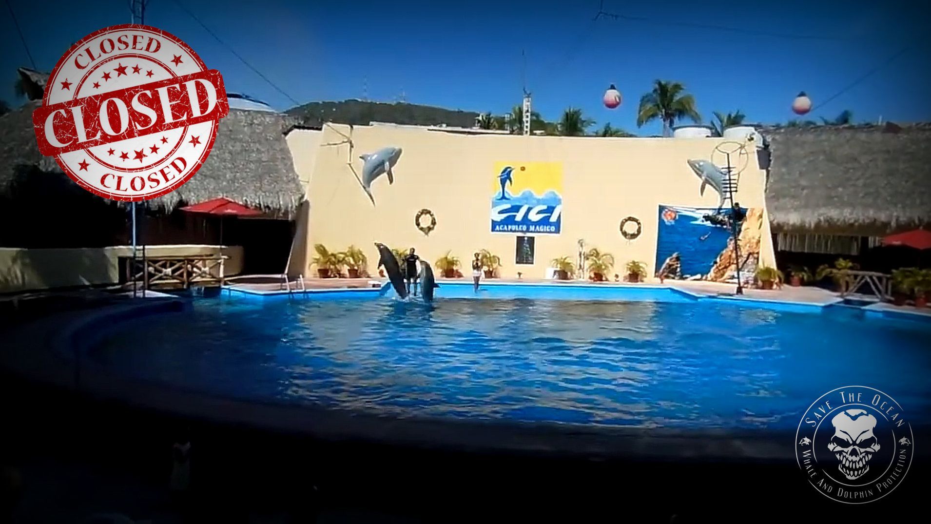 Save the Ocean, Jörn Kriebel, Delfinarium Mexiko, Gefangenschaft Delfine, Gefangenschaft Orcas, CiCi Delphinarium. CiCi Delphinarium Mexiko
