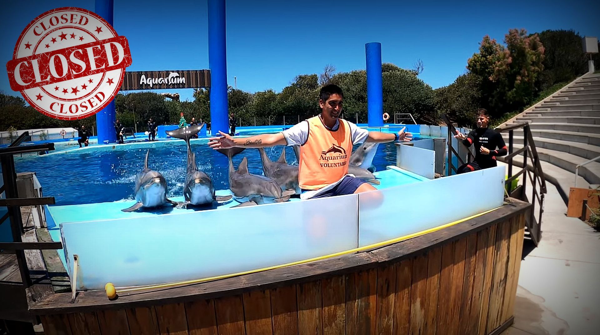 Save the Ocean, Jörn Kriebel, Wale, Orca, Beluga, Delfine, Delfinarium, Gefangenschaft, Wale Gefangenschaft, Orca Gefangenschaft, Delfine Gefangenschaft, Empty The Tanks, Dolphin Project, Ric Obarry, Blackfish, Captivity Whales & Dolphins, Orca Ula, Orca Orca Keto, Aquarium Mar del Plata