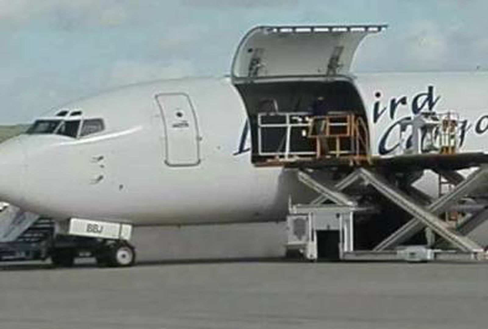 Save the Ocean, Jörn Kriebel, Wale, Orca, Beluga, Delfine, Delfinarium, Wale Gefangenschaft, Orca Gefangenschaft, Delfine Gefangenschaft, Empty The Tanks, Japan Taiji, Blackfish, Delfinarium Nürnberg Tiergarten