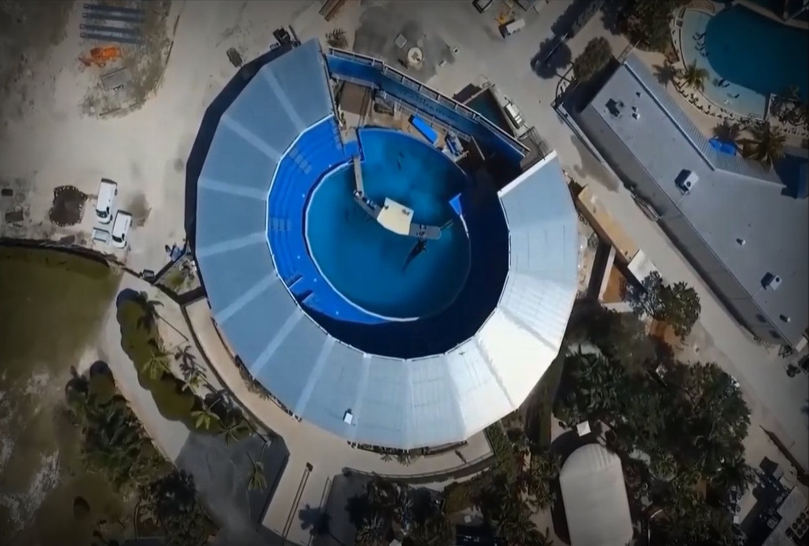 Save the Ocean, Jörn Kriebel, Wale, Orca, Beluga, Delfine, Delfinarium, Wale Gefangenschaft, Orca Gefangenschaft, Delfine Gefangenschaft, Empty The Tanks, Japan Taiji, Blackfish, Orca Lolita