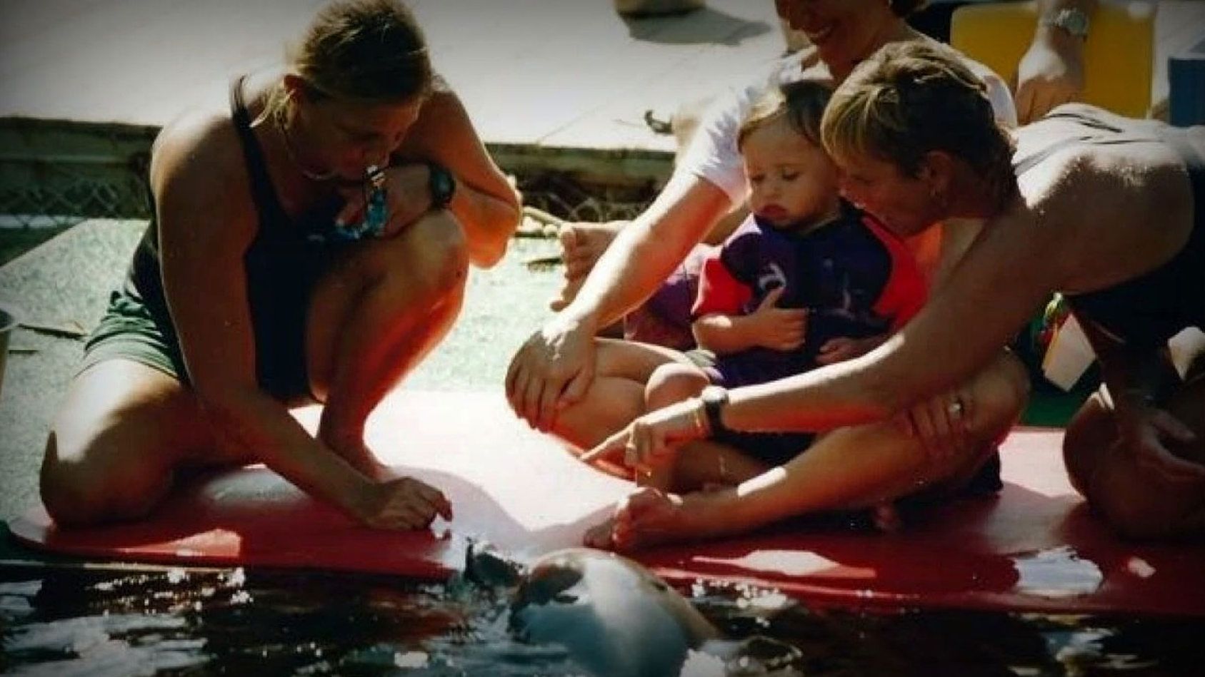 Jörn Kriebel. Save the Ocean, Delfintherapie, Delfine therapieren Menschen e.V., dolphin aid e.V., Behinderte Menschen, Kinder Delfine, Delfine, Duisburger Zoo, Nürnberg Zoo, Tiergarden Nürnberg, Tierschutz Aktivisten