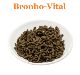 Pferd Pferde Bronho Vital Unterstützung für freien Atem