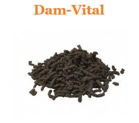 Pferd Pferde Dam Vital Unterstützung zur allgemeinen inneren Reinigung Darmparasiten Abwehrfunktion des Darmes bessere Aufnahme und Verwertung