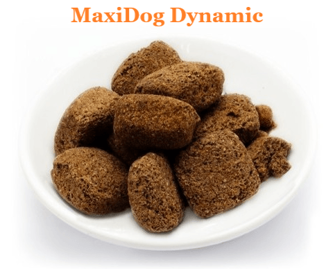 MaxiDog Dynamic Getreidefrei kalt gepresst