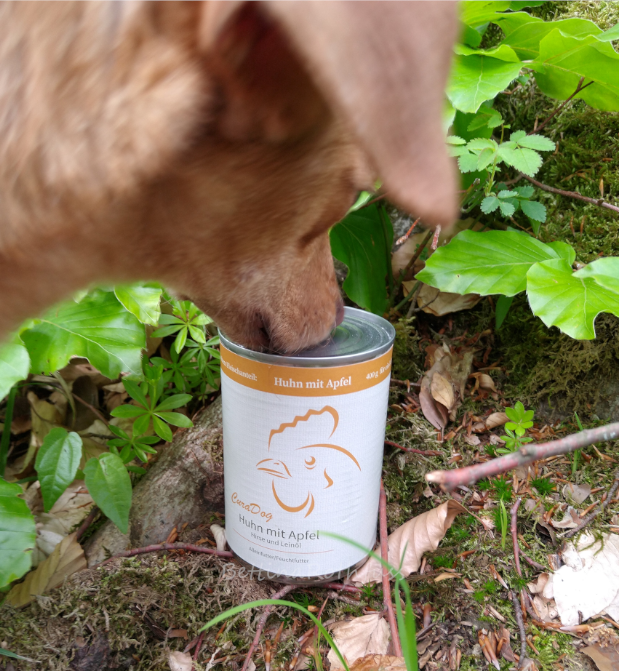 Feuchtfutter Nassfutter Bio CuraDog Huhn mit Apfel Hirse und Leinöl
