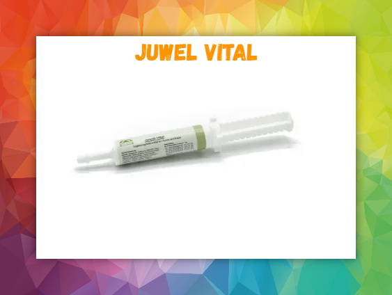 Juwel Vital unterstützt jeglichen Aufbau für Hunde und Nager Leistungsfähigere Tiere weniger Verluste