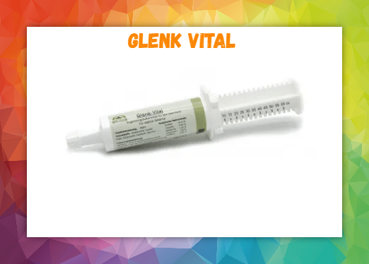 Glenk Vital stabile Gelenke