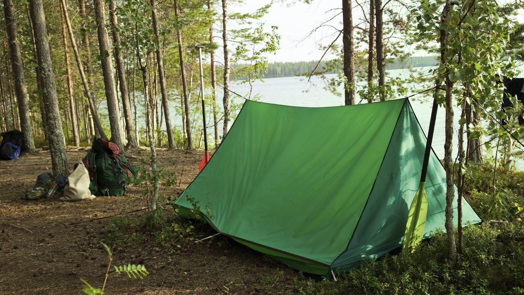 Pack de actividades Pack de actividades