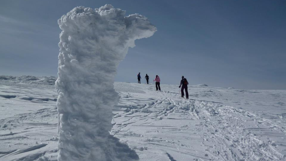 Raquetas de nieve Raquetas de nieve