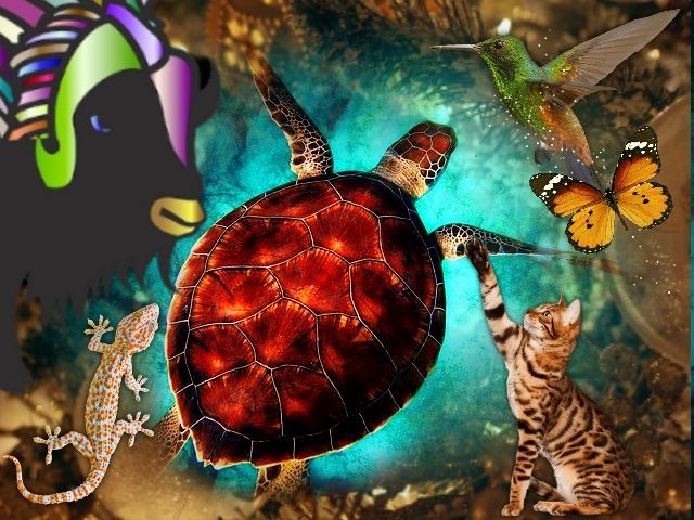 Die weisse Büffelfrau - Collage - schöne Frau - Frauenportrait