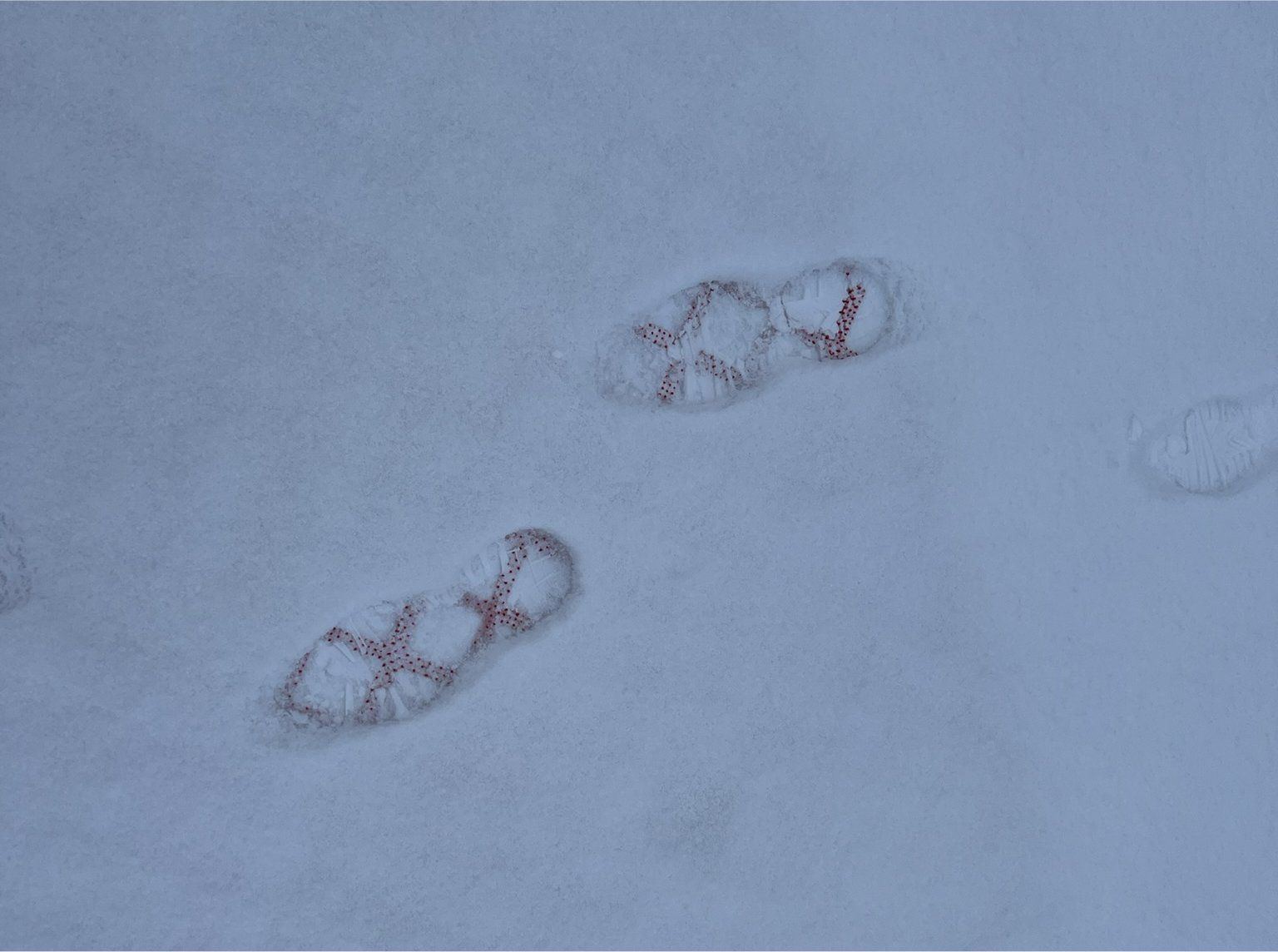 Oberaudorf,  Hocheck, Mattenskipiste, Kinderland, CO2 - skitrax world