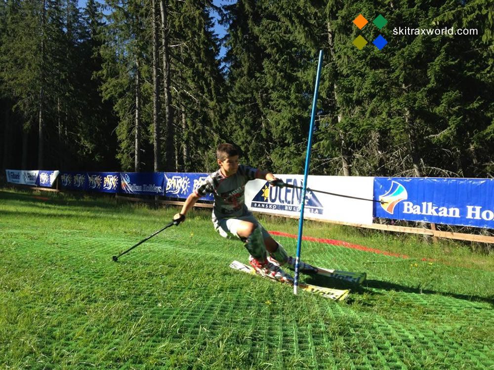 skier, skis