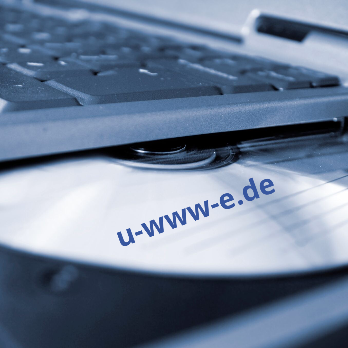 Stay home! Stay home!