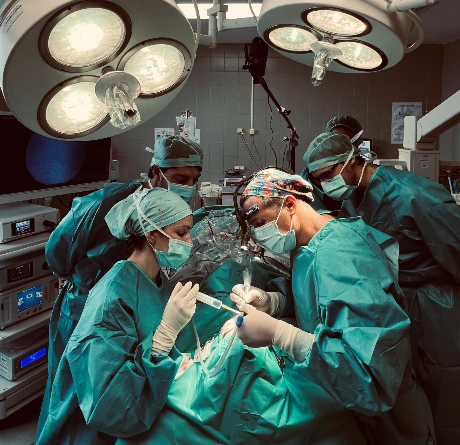 fellowship Dr. Arancibia