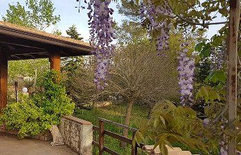 B&B VILLA IMMERSA NREL VERDE SANTERAMO