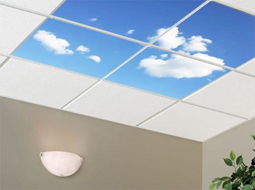 Skyview