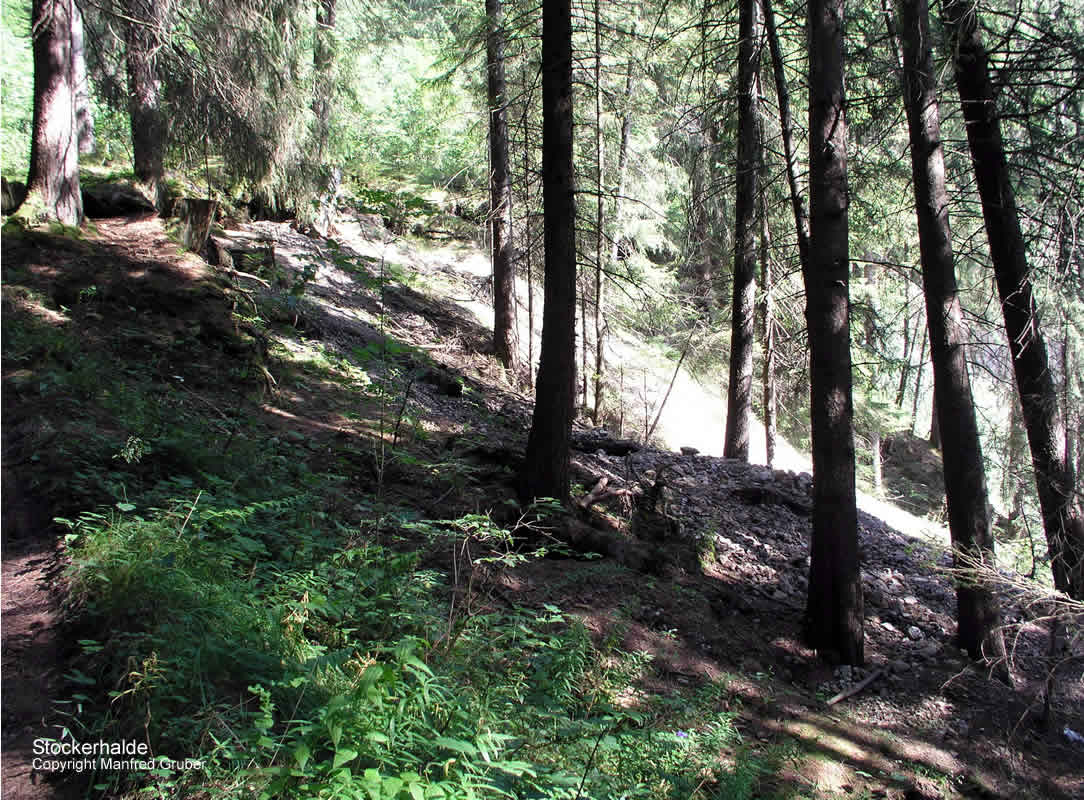 Österreich Fundstelle Stockerhalde