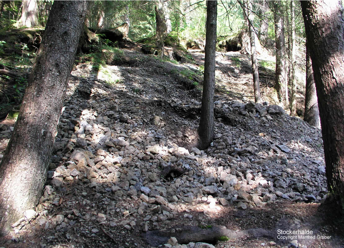 Österreich Fundstelle Stockerhalde