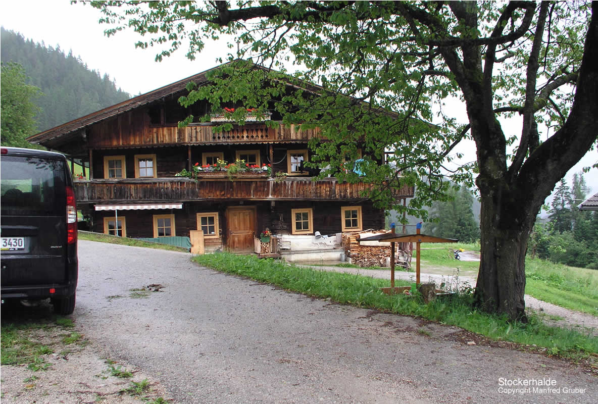 Österreich Fundstelle Stockerhalde
