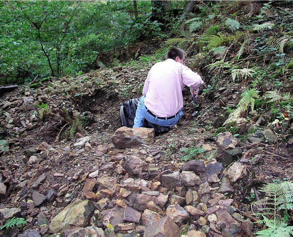 Schwarzwald Fundstelle Erzengel Gabriel