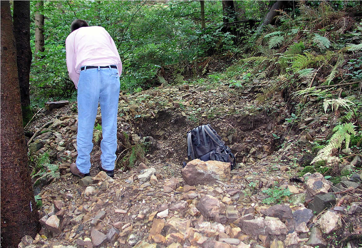 Schwarzwald Fundstelle Erzengel Gabriel