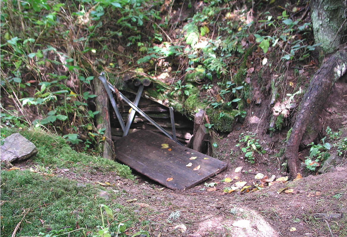 Schwarzwald Fundstelle Erzengel Gabriel