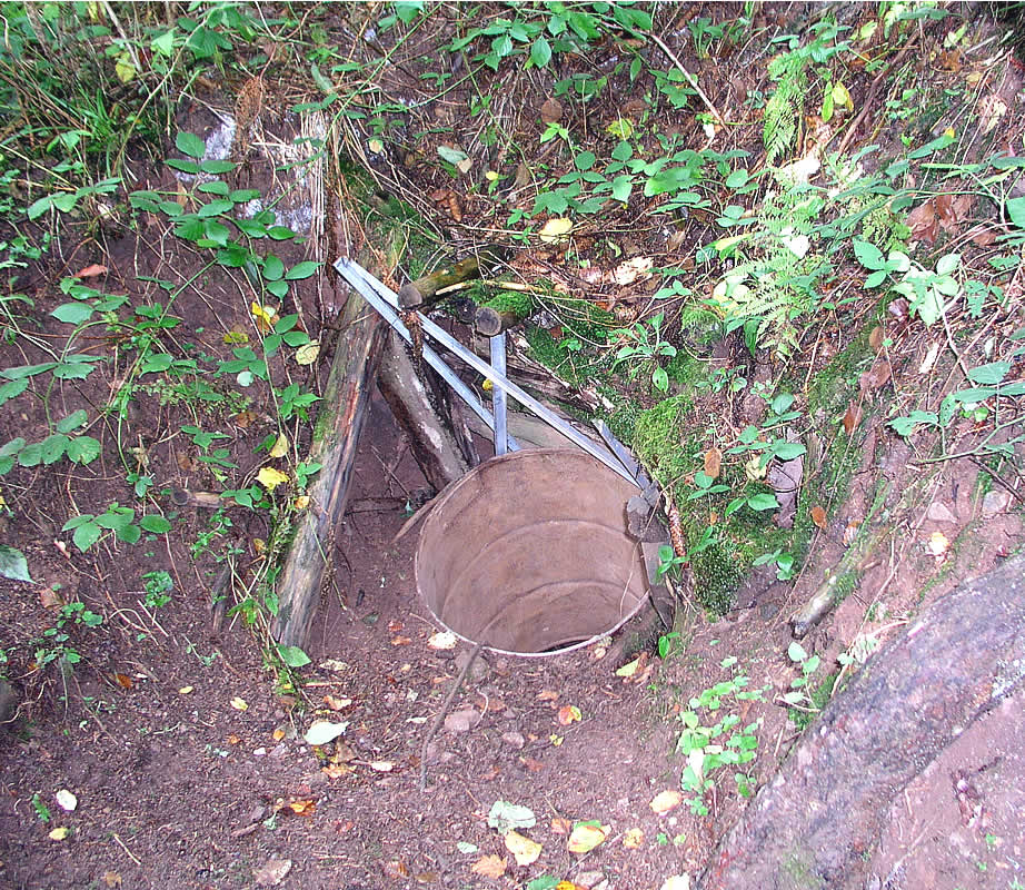 Schwarzwald Fundstelle Erzengel Gabriel