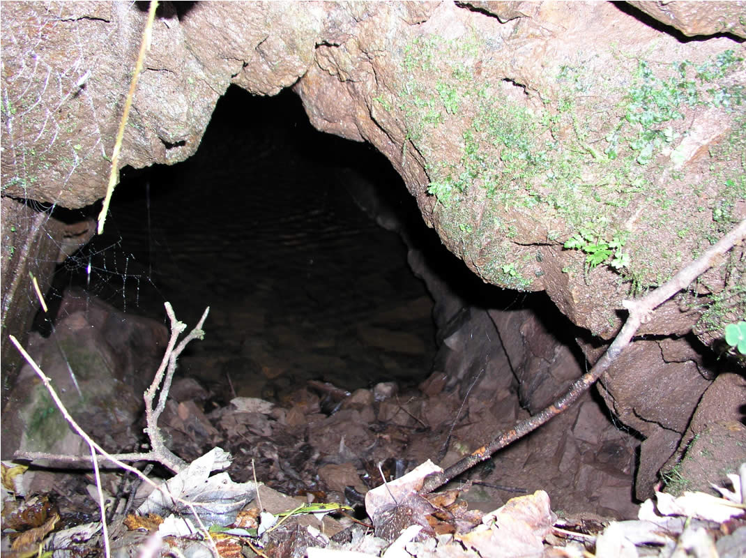 Schwarzwald Fundstelle Erzengel Gabriel
