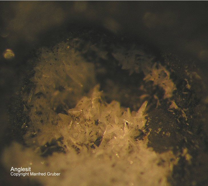 Mineralien Österreich Rauris Astenschmiede Anglesit