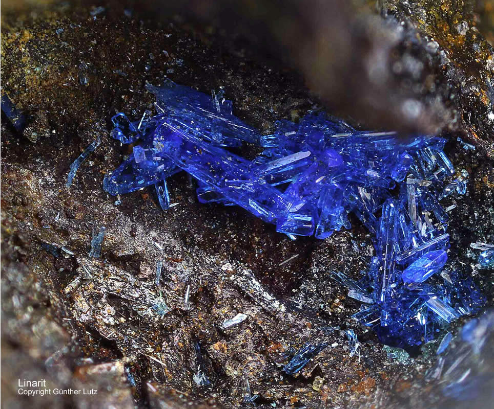 Mineralien Österreich Rauris Astenschmiede Linarit