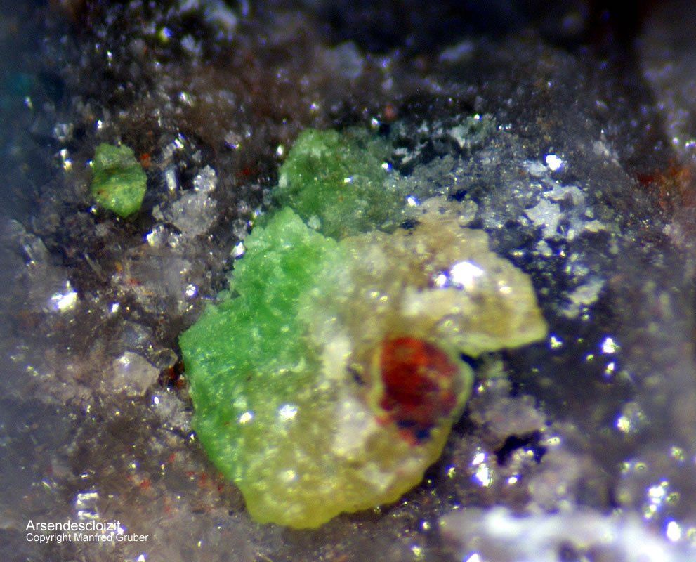 Mineralien Österreich Fuchsloch Arsendescloizit